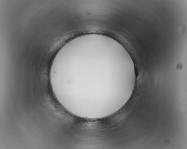 X0000112360306200909101304