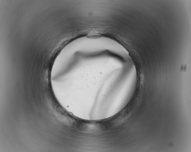 X0000112360308200909101304