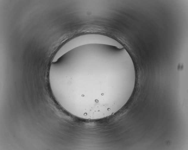X0000112360309200909101304