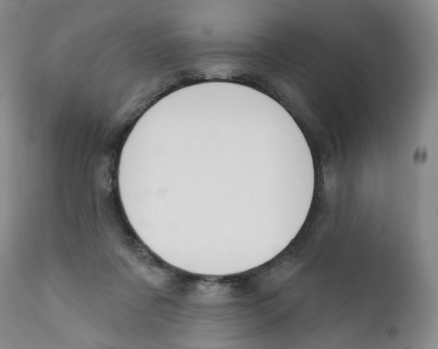 X0000112360311200909101303