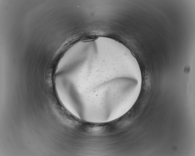 X0000112360312200909101303