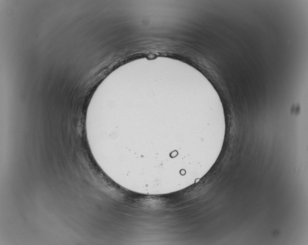 X0000112360313200909101303