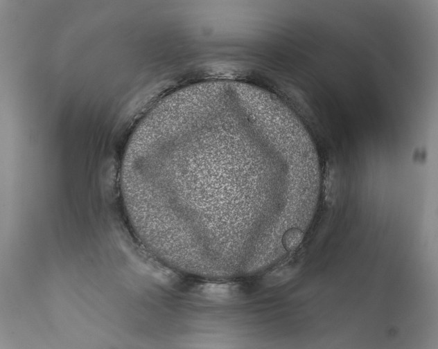 X0000112360314200909101303