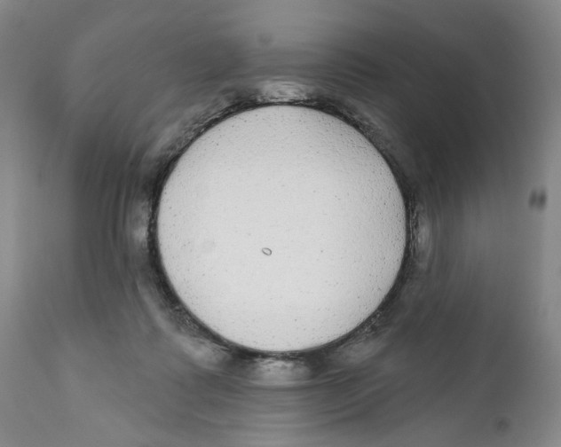 X0000112360315200909101303