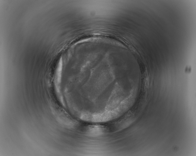X0000112360316200909101303