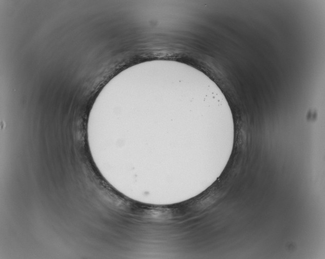 X0000112360317200909101303
