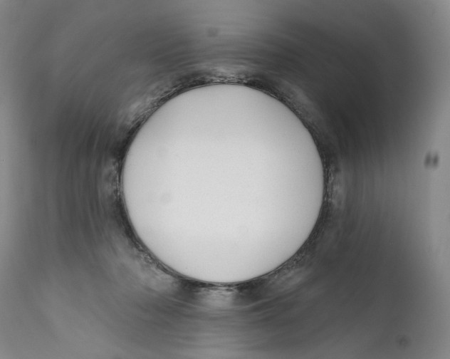 X0000112360318200909101303