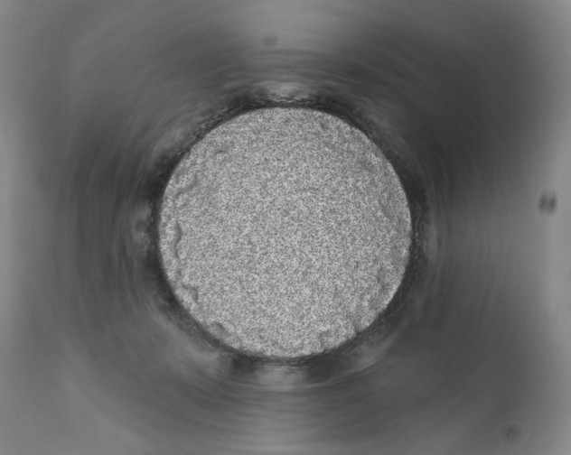 X0000112360319200909101303