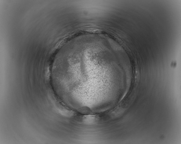 X0000112360320200909101303