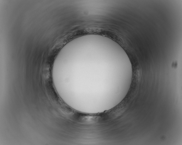 X0000112360323200909101303