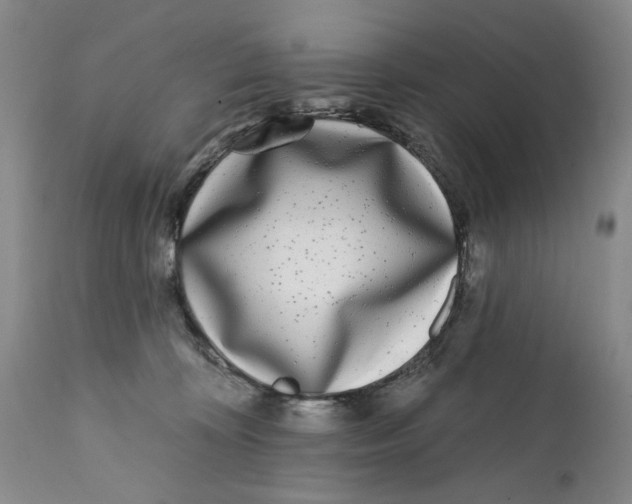 X0000112360324200909101303