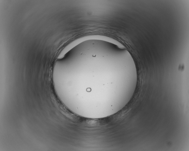 X0000112360325200909101303