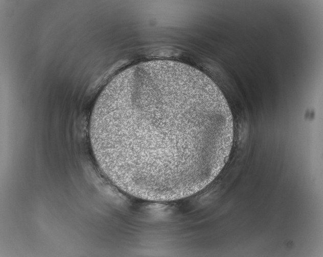 X0000112360326200909101303