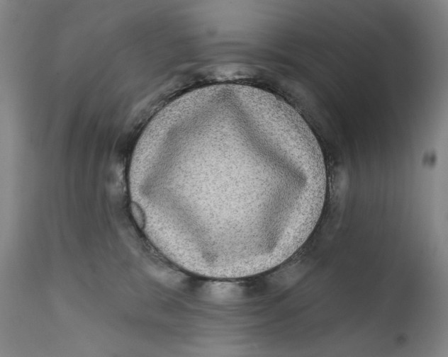X0000112360327200909101303