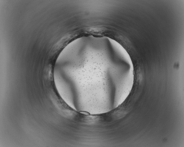 X0000112360328200909101303