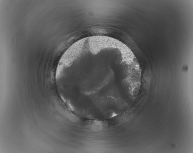 X0000112360330200909101303