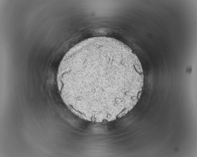 X0000112360331200909101303