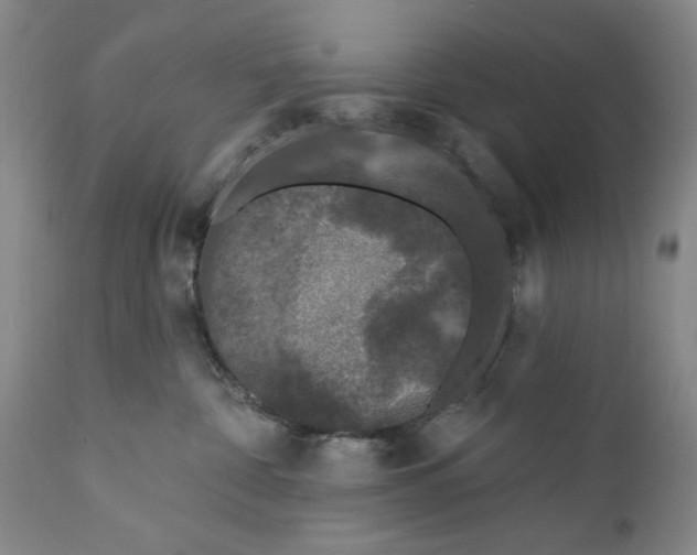 X0000112360332200909101303