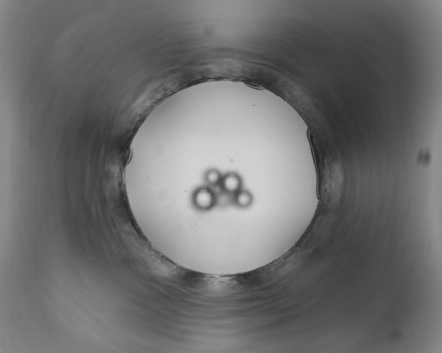 X0000112360333200909101303