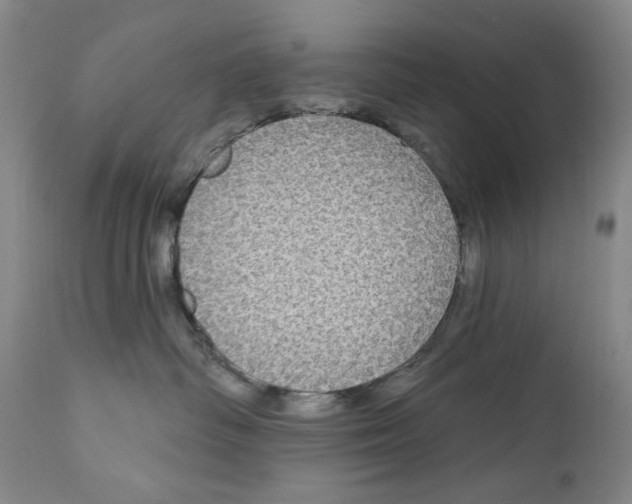 X0000112360334200909101303
