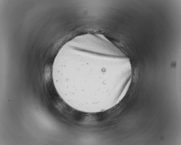 X0000112360335200909101303