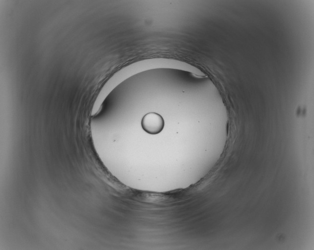 X0000112360336200909101303