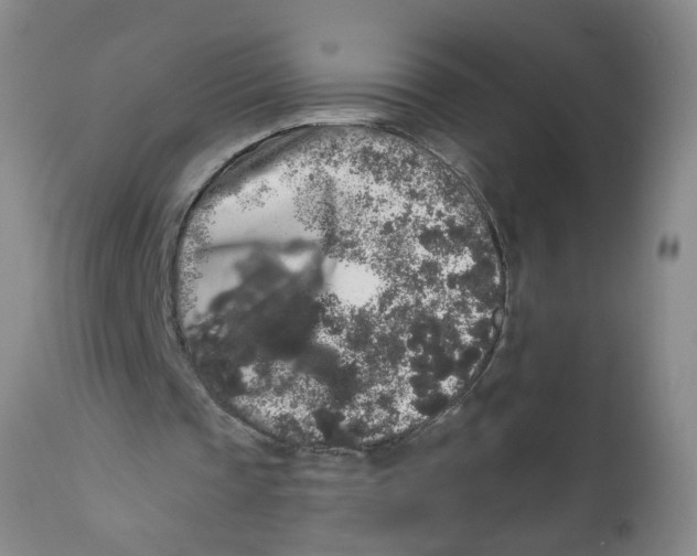 X0000112360337200909101302