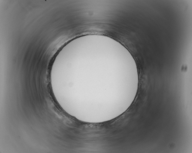 X0000112360338200909101302