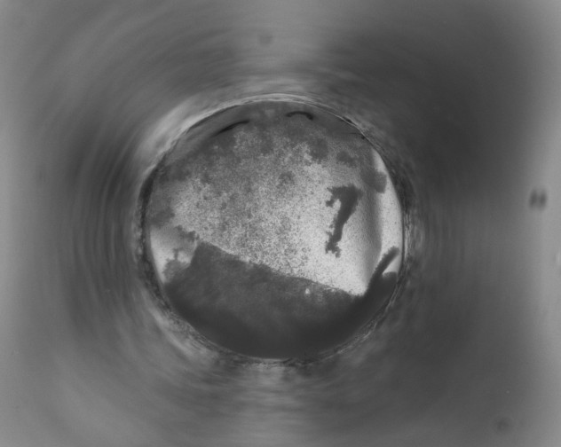 X0000112360339200909101302