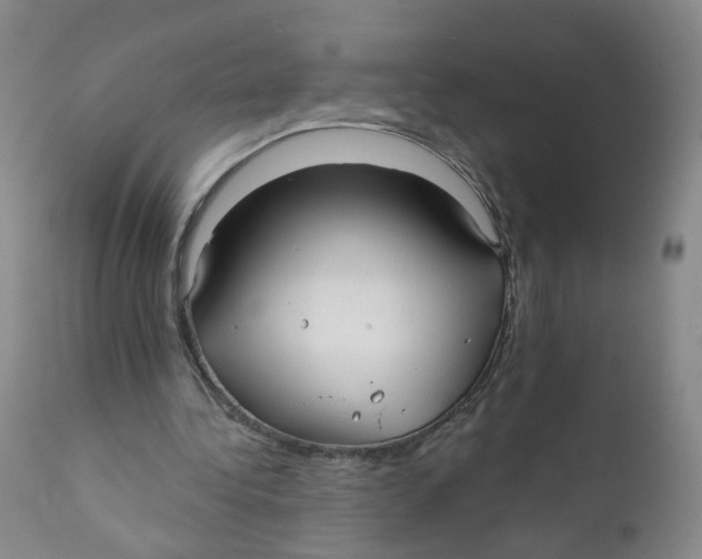 X0000112360340200909101302