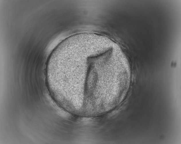 X0000112360341200909101302
