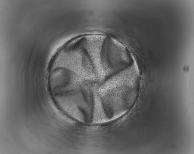 X0000112360342200909101302