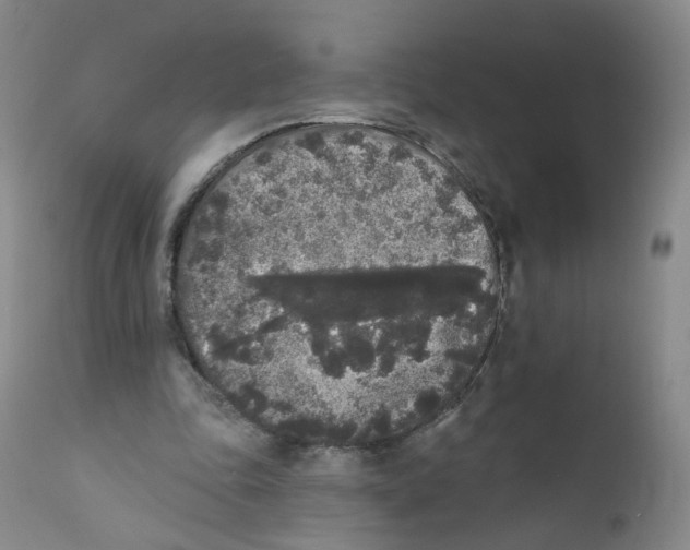 X0000112360343200909101302