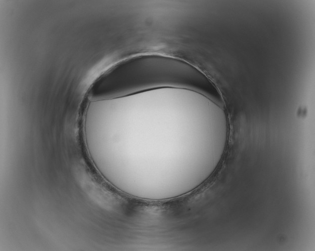 X0000112360344200909101302