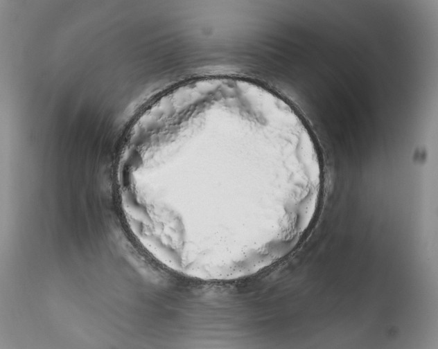 X0000112360345200909101302