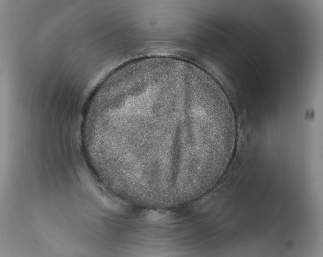 X0000112360346200909101302