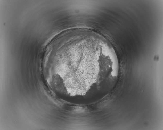 X0000112360347200909101302
