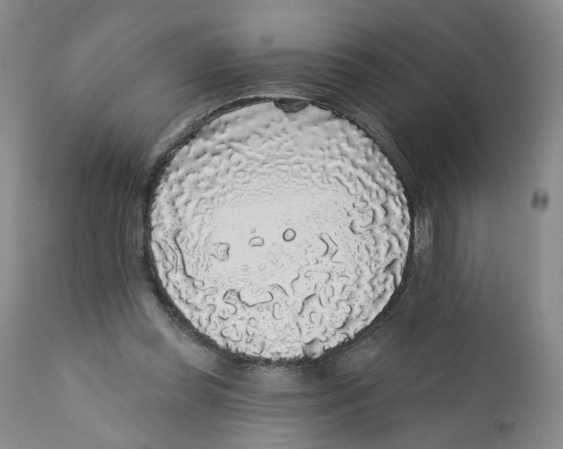 X0000112360349200909101302
