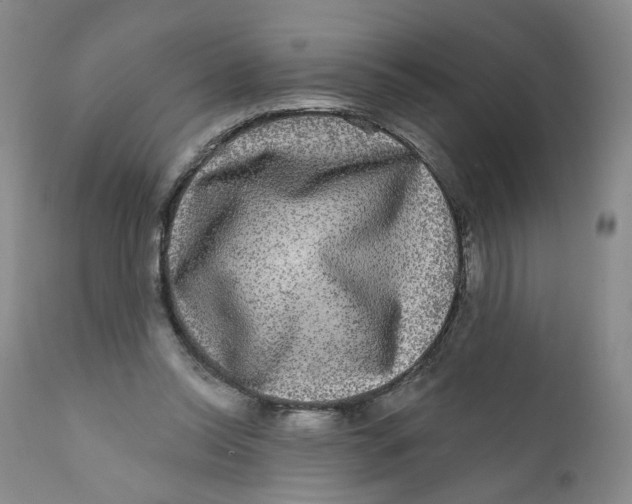 X0000112360350200909101302