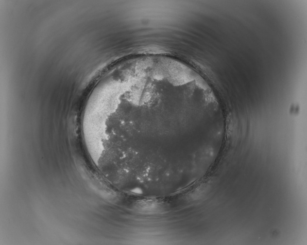 X0000112360351200909101303