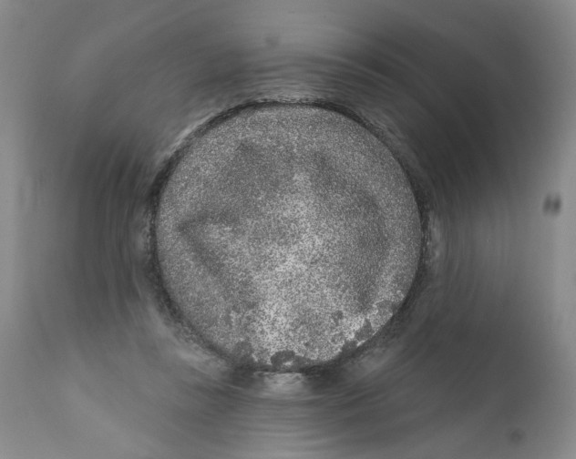 X0000112360355200909101303