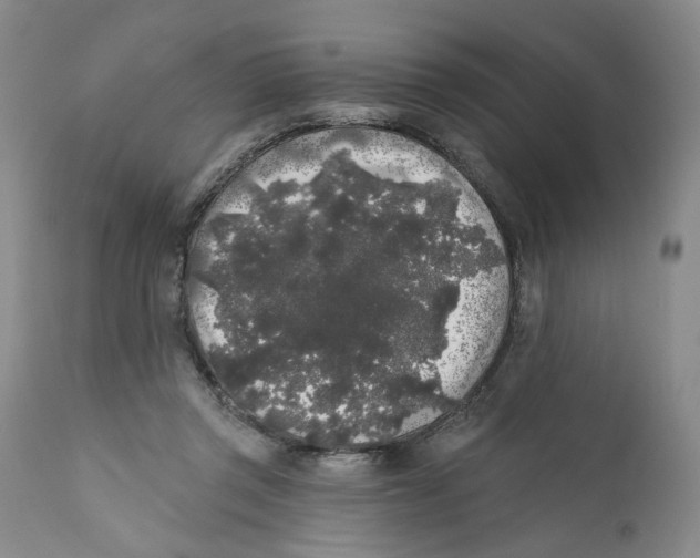 X0000112360357200909101303