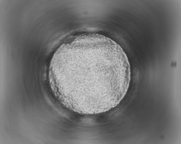X0000112360358200909101303
