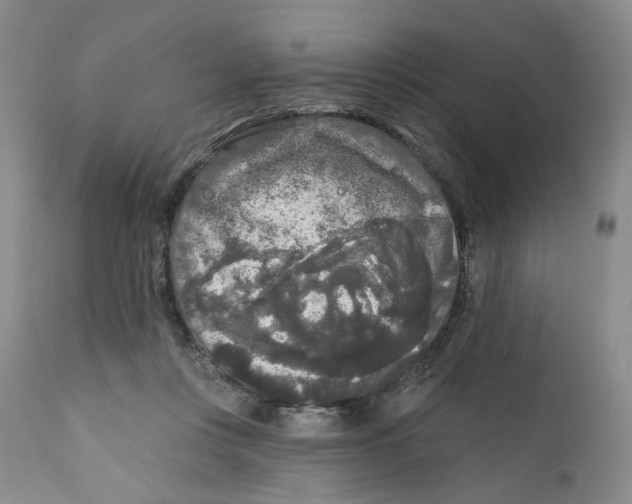 X0000112360359200909101303
