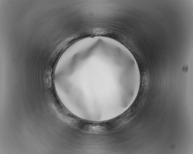 X0000112360360200909101303