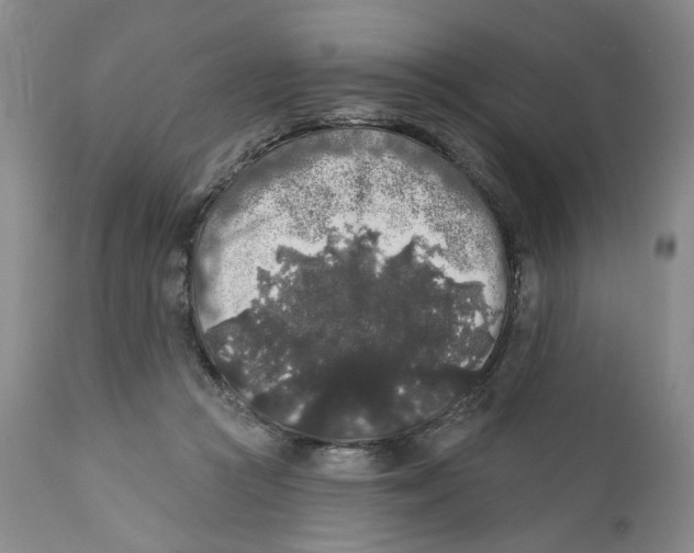 X0000112360361200909101303