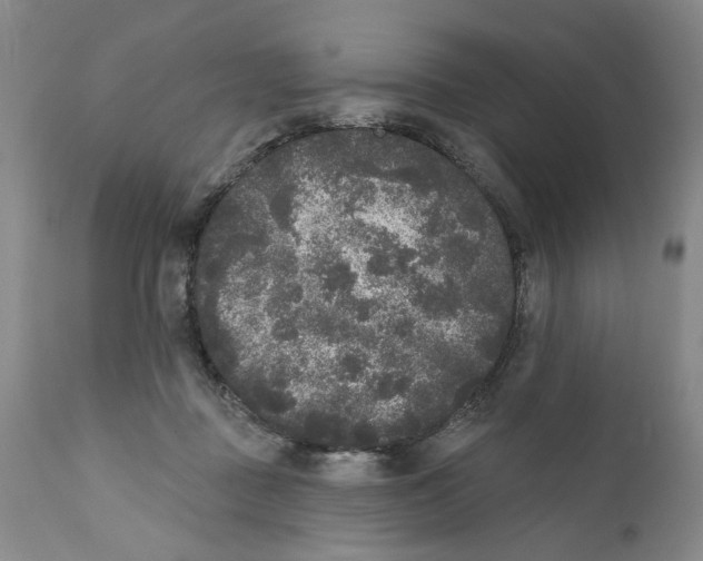 X0000112360363200909101303