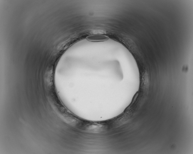 X0000112360364200909101303