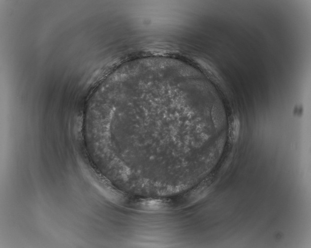 X0000112360365200909101303