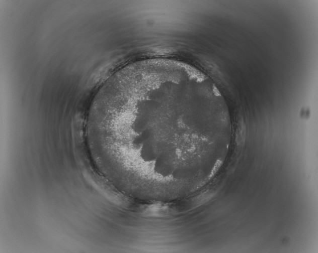 X0000112360366200909101303